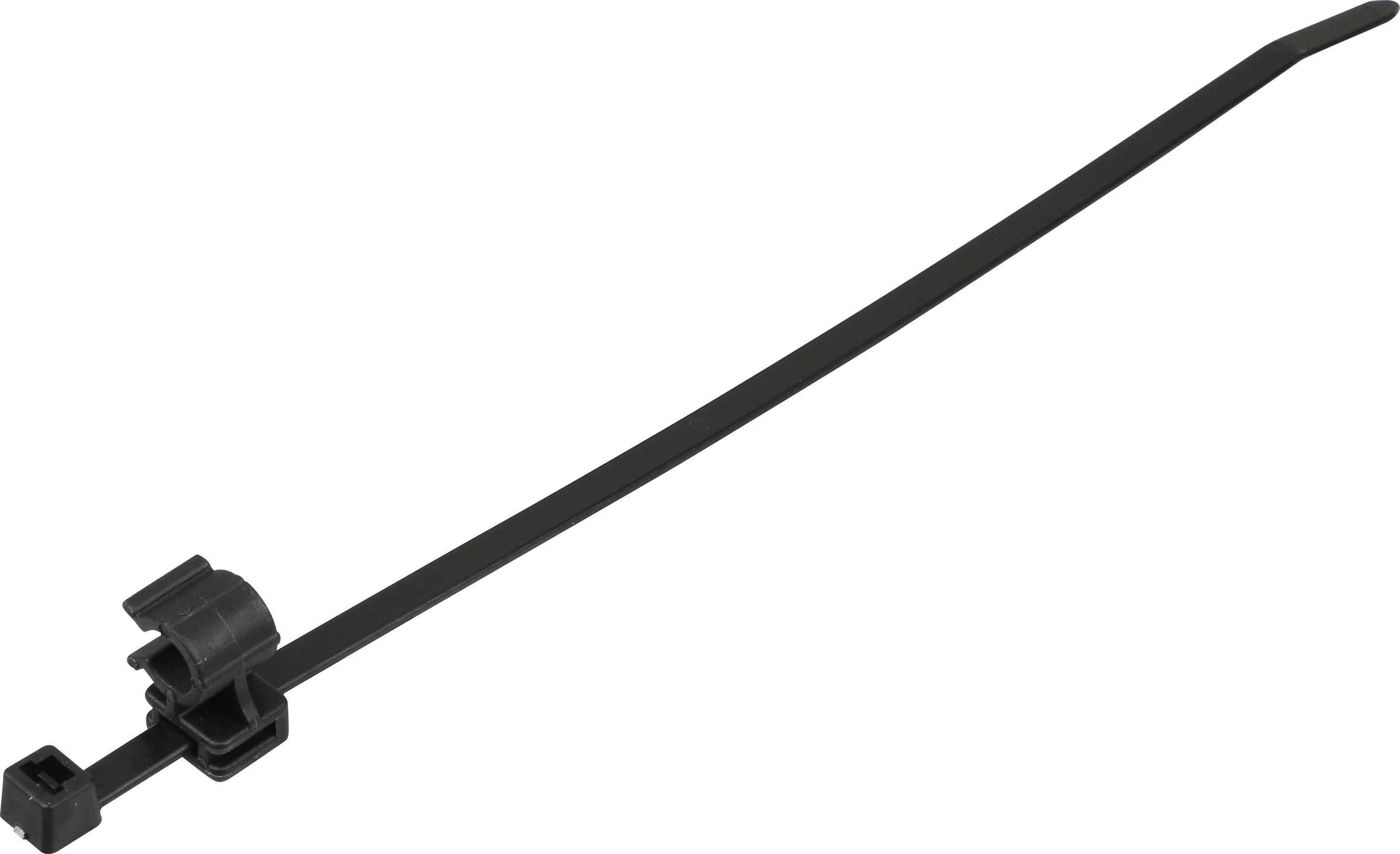156-01538