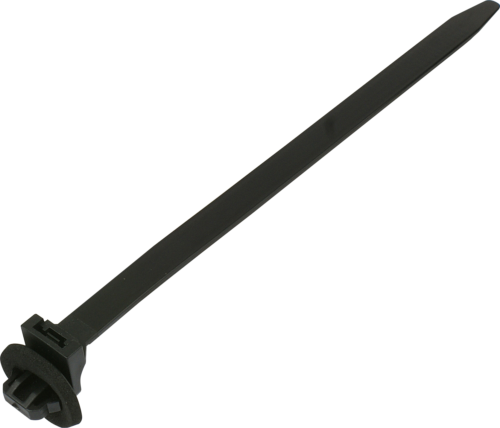 CS03-MD