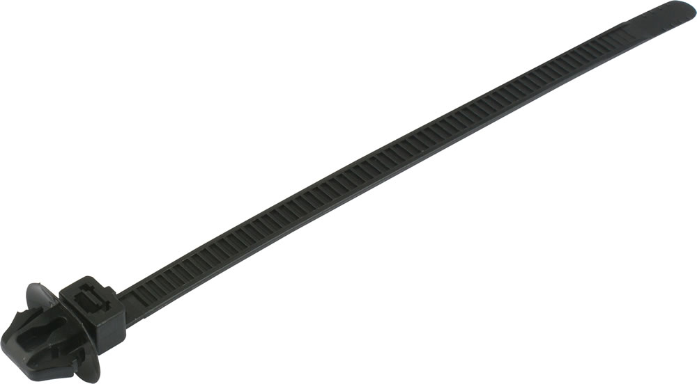 M72000252